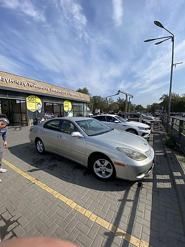 тайота виста ардео: Toyota Windom: 2004 г., 0.3 л, Автомат, Бензин, Седан — 6