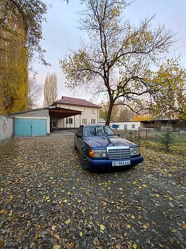 mersedes e class: Mercedes-Benz W124: 1989 г., 2.3 л, Механика, Бензин, Седан — 1