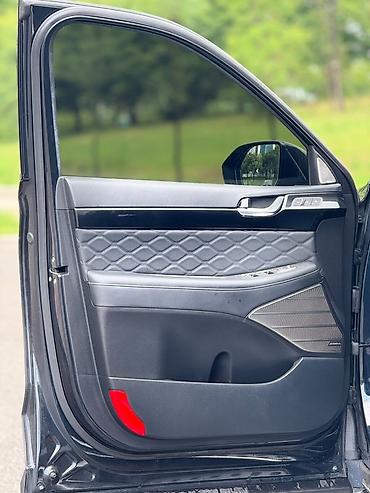 шторка rx300: Hyundai Palisade: 2020 г., 2.2 л, Автомат, Дизель, Кроссовер — 10