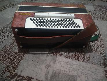 Аккордеоны: Аккордеон «Россий» (надпись на корпусе), красно-коричневый — 4