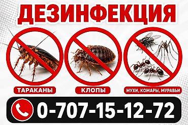Клининговые услуги: Дезинфекция, дезинсекция, | Клопы, Блохи, Тараканы, | Транспорт, Офисы, Квартиры — 1