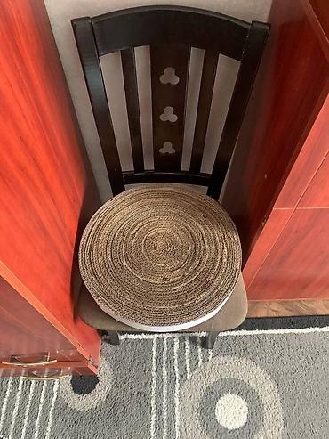 Зоотовары: Зачем кошке когтеточка? Первая причина — это гигиена, А — 4