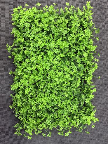 Güzgülər: Güzgü Divar üçün — 22