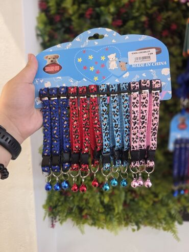 Xaltalar, qayışlar və tasmalar: Pişik və mini itlər üçün boyunbağılar. Taksilə çatdırılma xidmətimiz — 5