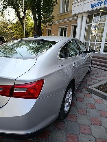 skyline r32: Chevrolet Malibu: 2020 г., 1.5 л, Автомат, Бензин, Седан — 1