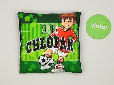 Home & Garden: PL - Pillow 25 x 25, color - Green, condition - Very good — 2