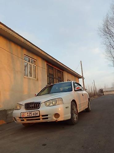 Hyundai: Hyundai Avante: 2002 г., 1.6 л, Автомат — 3
