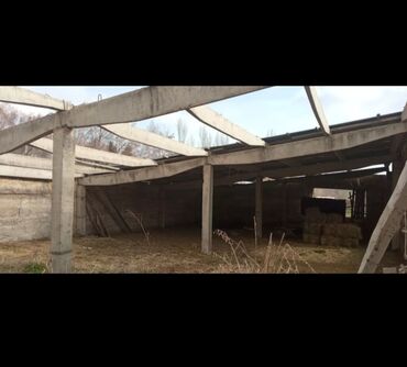 Сельхоз предприятия: Продаётся кашара Иссык-Кульский район село Ананьево. Общая территория at lalafo.kg — 11 Сельхоз предприятия: Продаётся кашара Иссык-Кульский район село Ананьево. Общая территория — 11