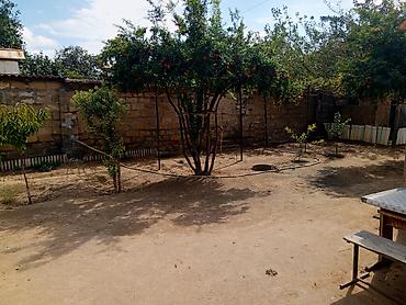 qobu ev: 3 otaqlı, 63 kv. m, Kredit yoxdur, Təmirsiz — 8