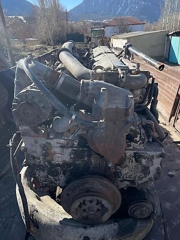 Двигатели, моторы и ГБЦ: Двигатель IVECO (турбодизель) можно на запчасти или на — 2