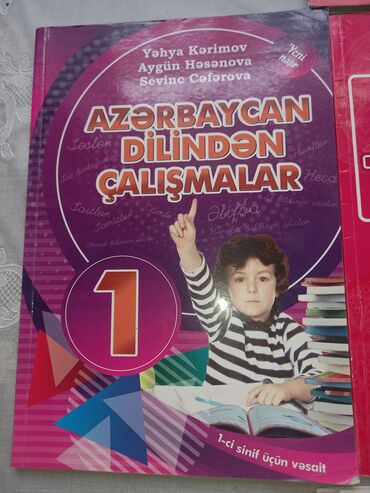 Digər məktəb dərslikləri: Müxtəlif siniflər üçün nəzərdə tutulmuş tədris vəsaitləri və test — 14