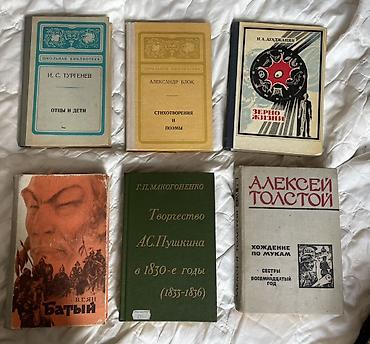 Художественная литература: Классика, На русском языке — 11