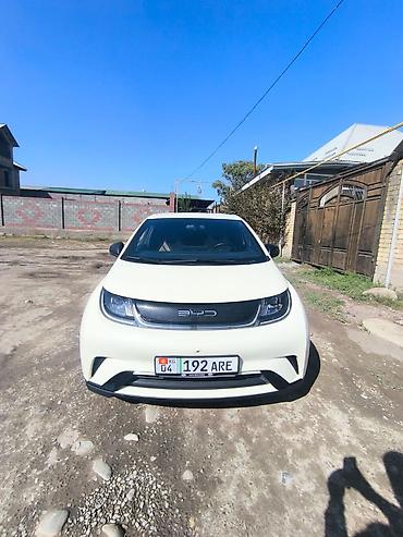 BYD: BYD Dolphin: 2023 г., Автомат, Электромобиль, Хэтчбэк — 2