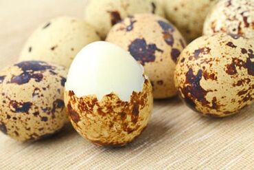 живые дрожи: Продаю перепелиные яйца оптом и в розницу. Район с Ново-Покровка