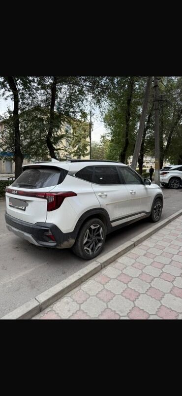 Kia: Kia Seltos: 2024 г., 1.6 л, Автомат, Бензин, Кроссовер