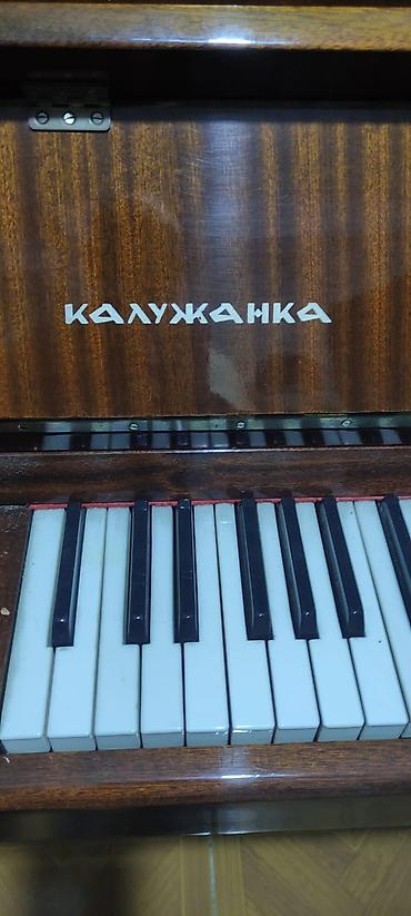 İdman və hobbi: Upright pianino – “KALUJANKA” (Kalujanka) - Korpus: tünd qəhvəyi — 3