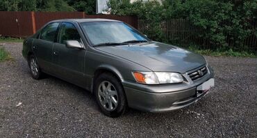 купить маленькую машину недорого: Toyota Camry: 1999 г., 2.2 л, Автомат, Бензин, Седан