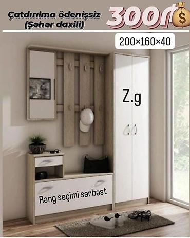 dolab dehliz: Dehliz dolab sifarişlə hazırlanır — 1