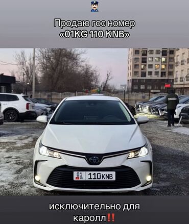 Другой транспорт: МАШИНА НЕ ПРОДАЕТСЯ 🚨 Продаю гос номер‼️ «01KG 110 KNB» Грамотный