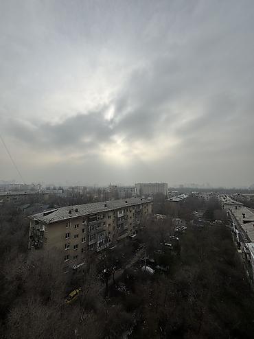 Долгосрочная аренда квартир: 1 комната, Агентство недвижимости — 8