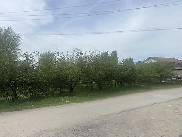 Кыймылсыз мүлк: 6 соток, Курулуш, Кызыл китеп — 4