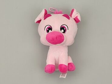 koszulka świnka peppa: Mascot Pig, condition - Very good