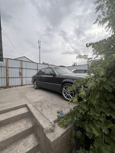 лупарик мерс цена: Mercedes-Benz W124: 1992 г., 2.3 л, Механика, Бензин, Седан