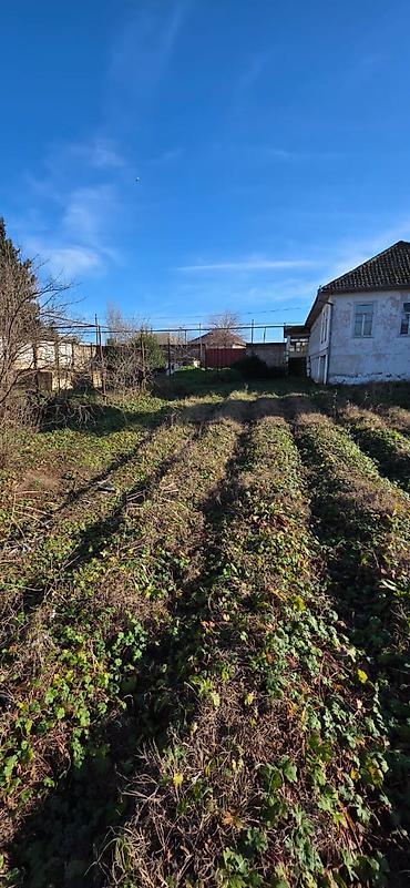 Torpaq sahələrinin satışı: 6 sot, Biznes üçün, Barter mümkündür, Kupça (Çıxarış), Texniki pasport — 17