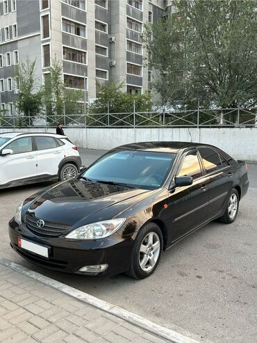 срочно в связи с переездом: Toyota Camry: 2003 г., 3 л, Автомат, Газ, Седан