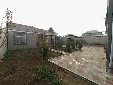 Həyət evləri və villaların satışı: Masazirda 6 sotda 3 mərtəbəli geniş ev — təcili satilir! Əvvəl 355 000 — 21