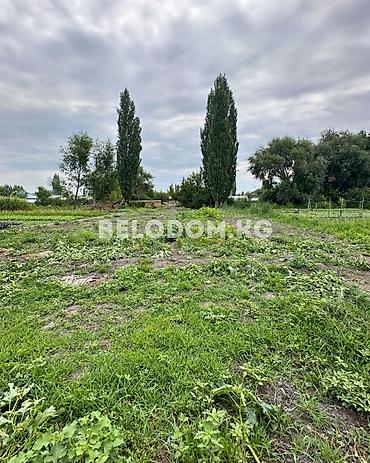120: 🏠Продается дом в с. Садовое Нижняя зона, от трассы - 200м 🟡Кирпичный — 3