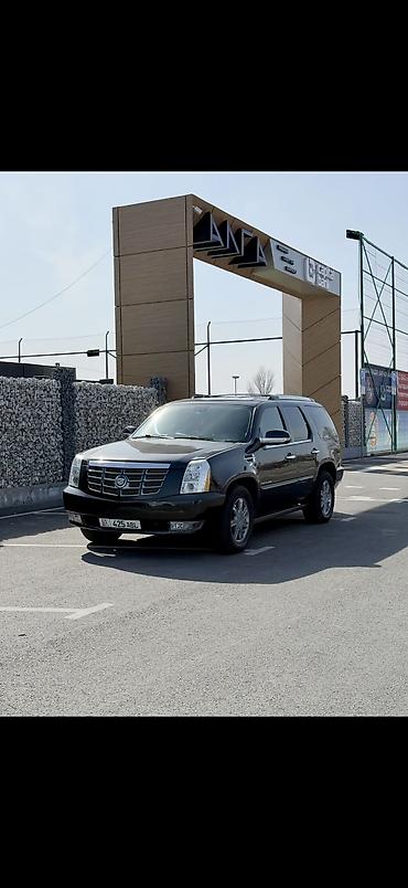 cadillac: Cadillac Escalade: 2010 г., 6.2 л, Автомат, Газ, Внедорожник — 2