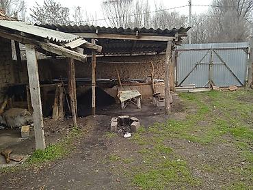 Продажа коттеджей и домов: Продаю дом - Отдельностоящий одноэтажный дом с двускатной крышей из — 8