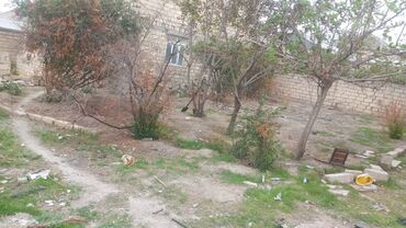 Torpaq sahələrinin satışı: 2 sot, Tikinti, Mülkiyyətçi, Kupça (Çıxarış) -da lalafo.az — 4 Torpaq sahələrinin satışı: 2 sot, Tikinti, Mülkiyyətçi, Kupça (Çıxarış) — 4