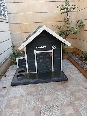 donuz heyvan: Taxta it evi (həyətyanı və ya balkon üçün uyğun) - Material — 1