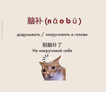 питинитка jack: Курсы китайского языка — 1