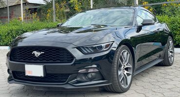 гольф4 купе: Ford Mustang: 2014 г., 2.3 л, Автомат, Бензин, Купе