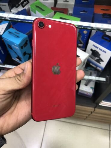 телефоны айфон xr: IPhone 8, Колдонулган, 64 ГБ, Кызыл, Коргоочу айнек, Каптама, 100 %