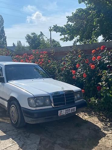 лт 46 2 8: Mercedes-Benz W124: 1988 г., 2.3 л, Бензин, Седан — 1