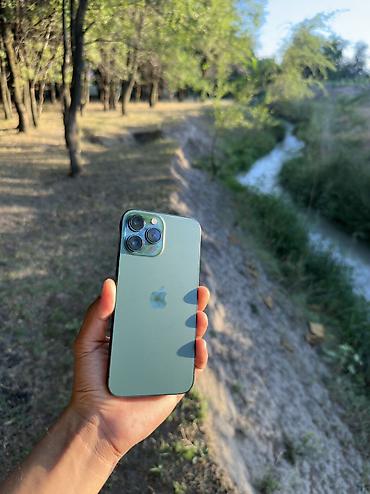 core 2: IPhone 13 Pro Max, Б/у, 128 ГБ, Alpine Green, Чехол, 74 % — 1