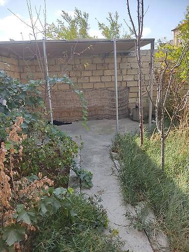 Torpaq sahələrinin satışı: Tikinti, Kupça (Çıxarış) -da lalafo.az — 23 Torpaq sahələrinin satışı: Tikinti, Kupça (Çıxarış) — 23
