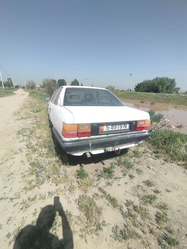 Audi: Audi 100: 1989 г., 1.8 л, Механика, Бензин, Седан