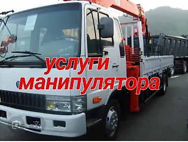 насос ручной: Стрела 8 м, 6 т, Борт 3 кг — 1