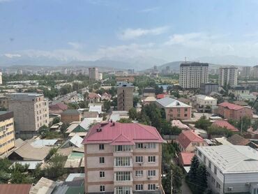 квартиры в районе бишкек парк: 2 комнаты, 48 м², Элитка, 10 этаж, Евроремонт