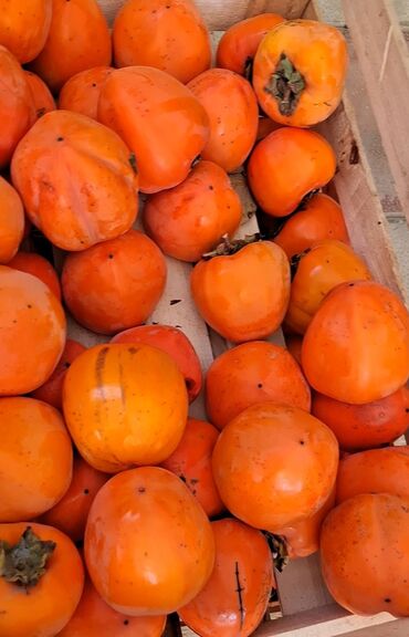 Meyvə və giləmeyvə: Məhsul: Öz bağımızdan Xurma . Ağdaş Xurması. Qiyməti - 0.70. Çox — 5