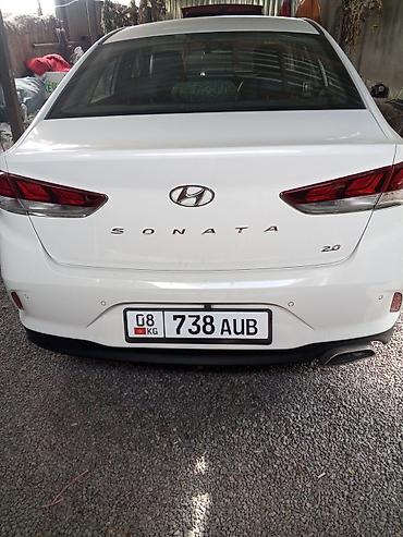 срв белый: Hyundai Sonata: 2018 г., 2 л, Автомат, Бензин, Седан — 5