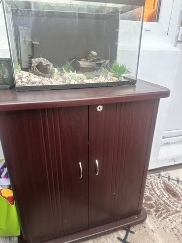 рыба балык: Продам аквариум с тумбочкой . Грунт фильтр и обогреватель есть, так