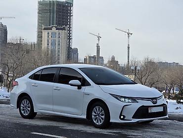 Toyota: Toyota Corolla: 2019 г., Гибрид — 1