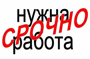 официантк: Официант. С опытом