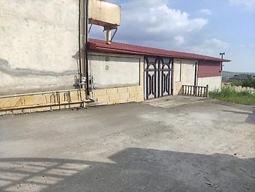 semkirde evler: Bakı, 328 kv. m, 4 otaqlı, Hovuzsuz, Artezian quyusu — 3